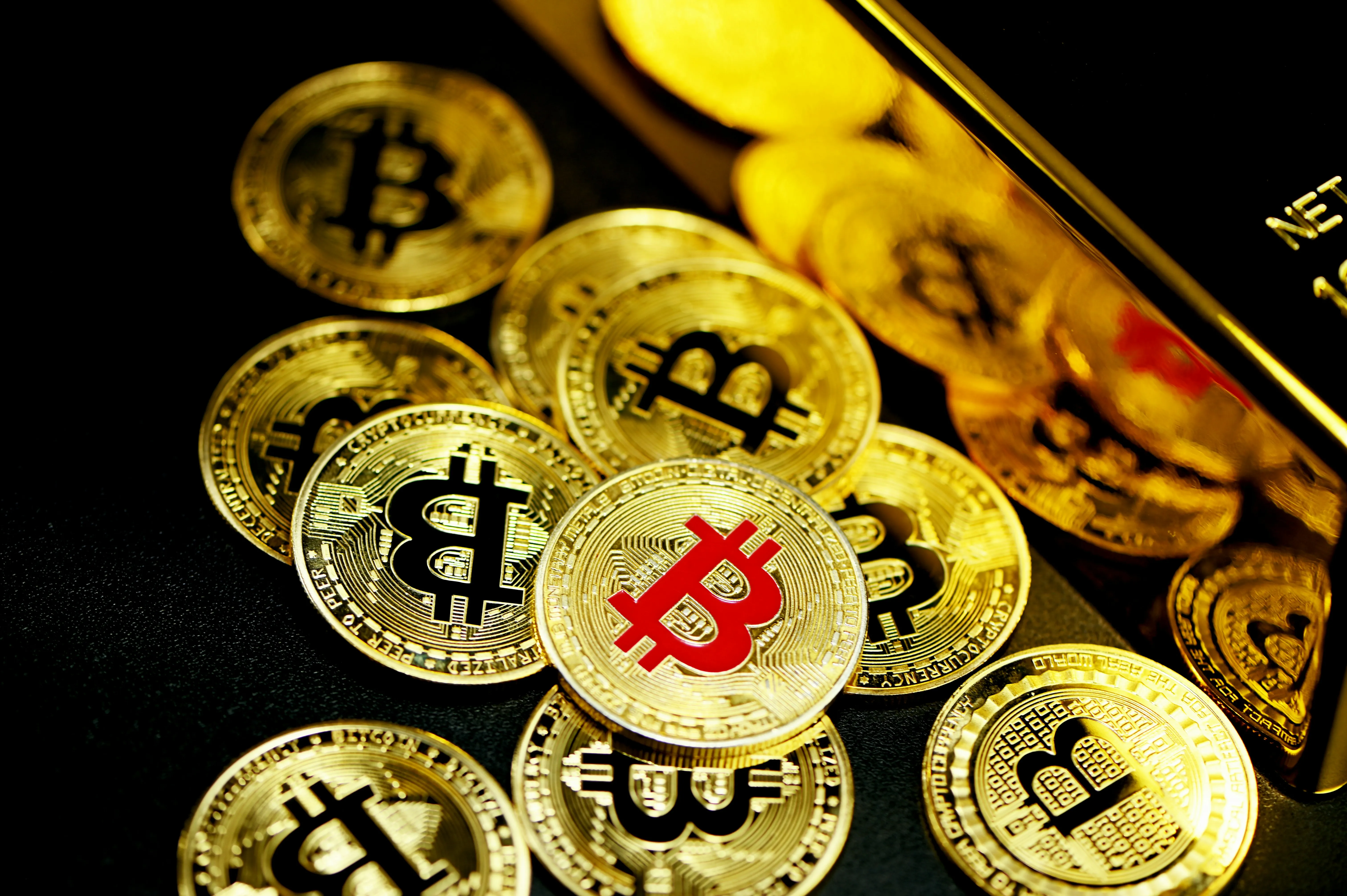 Hoa hồng hấp dẫn