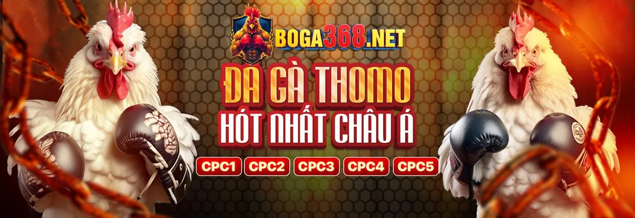 Các Kênh Hỗ Trợ Khách Hàng Jili